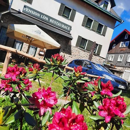 Pension Lipa Horní Maršov Eksteriør bilde